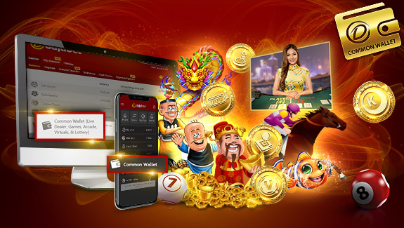 100% First Deposit Bonus on Common Wallet